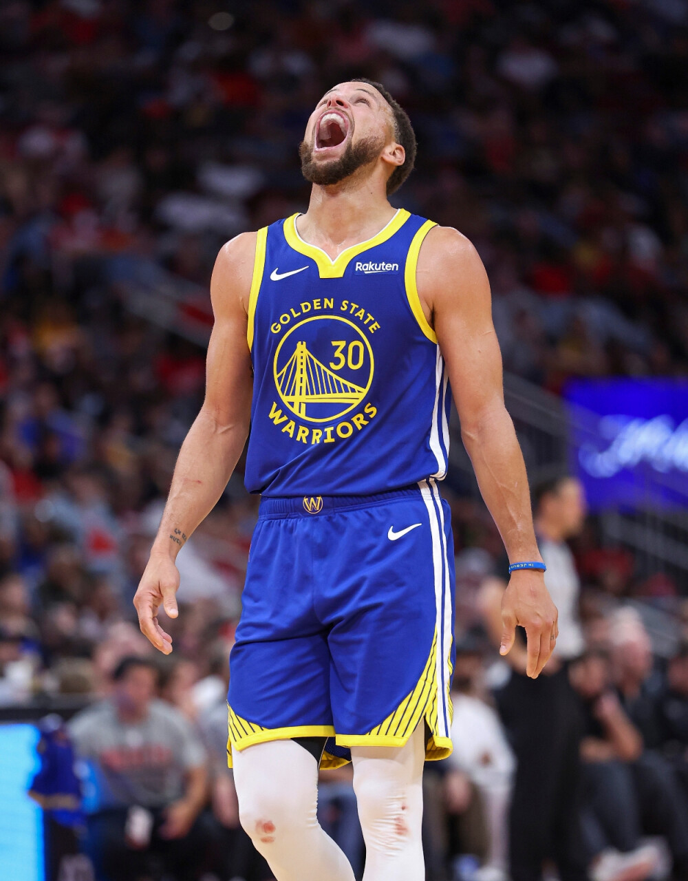 皇家社会 皇家社会