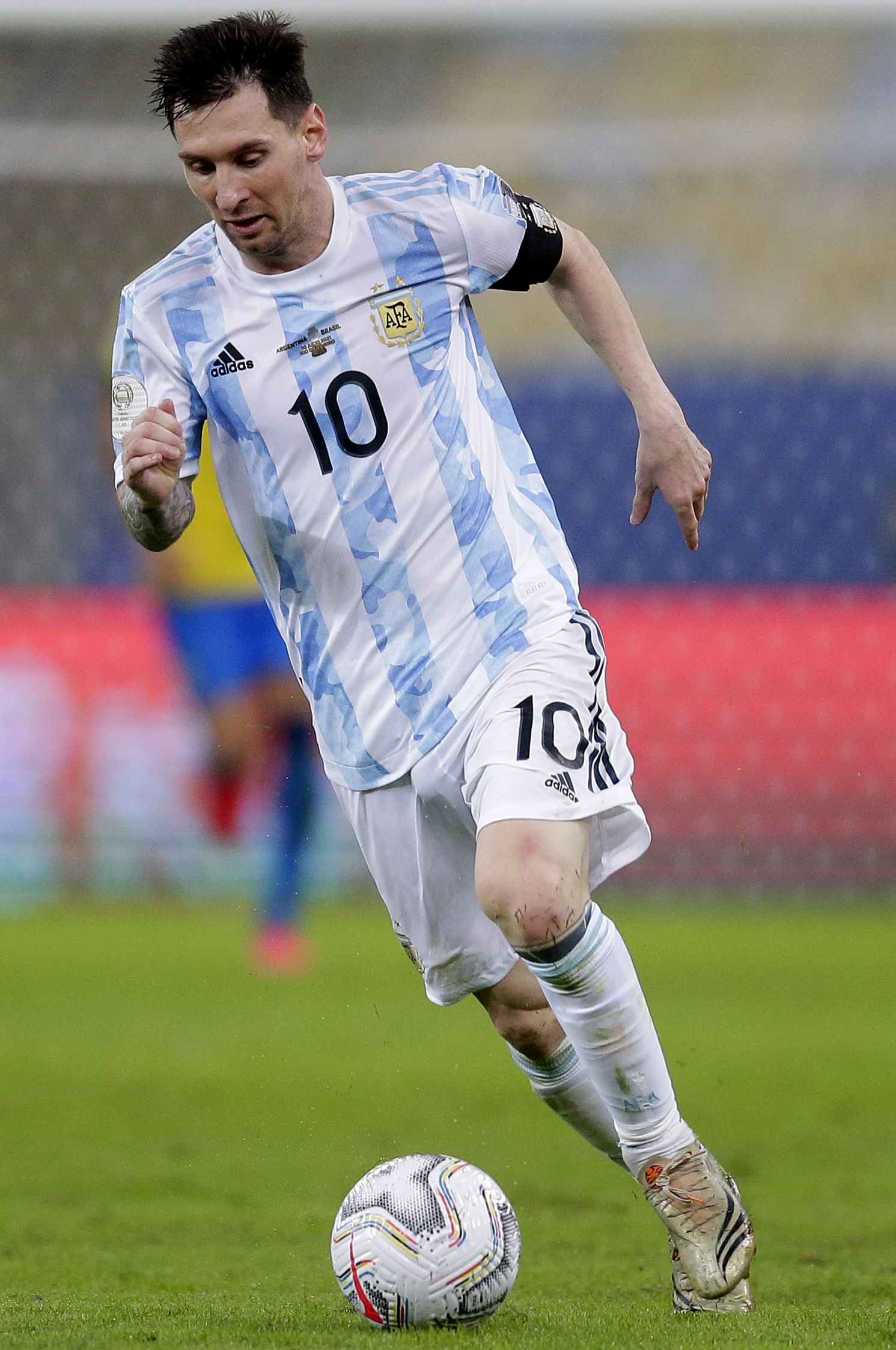 他们强调 他们强调